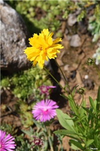2caf1b8f-IMG_7299 carsko oko.jpg